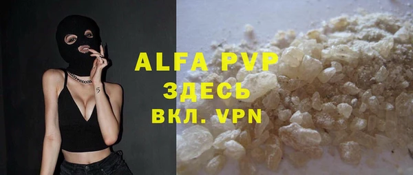 спиды Пересвет