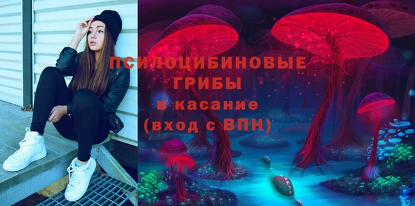 крисы Абаза