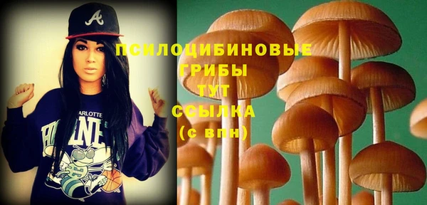 герыч Алзамай